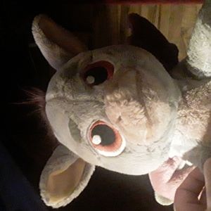 Donkey dragon from shrek